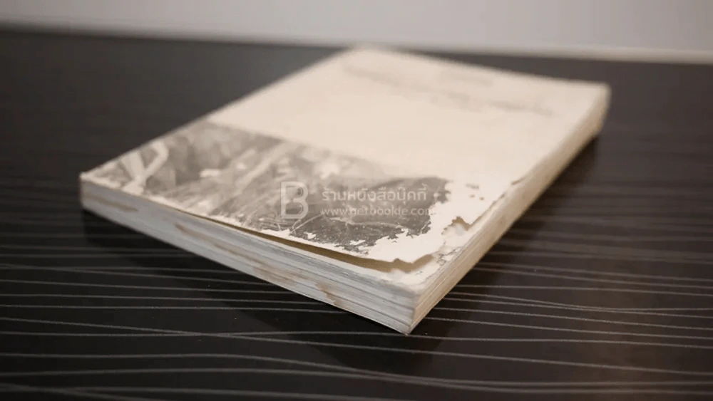 ในท่ามกลางอารยธรรมผุกร่อน - พจนา จันทรสันติ (สภาพบวมน้ำ) รูปที่ 5