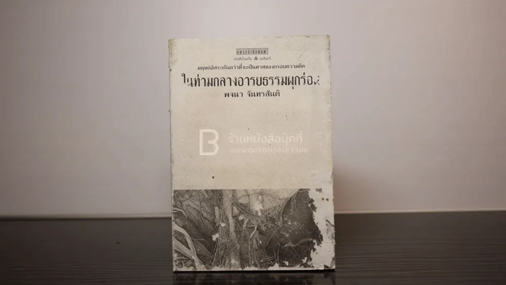 ในท่ามกลางอารยธรรมผุกร่อน - พจนา จันทรสันติ (สภาพบวมน้ำ) รูปที่ 1