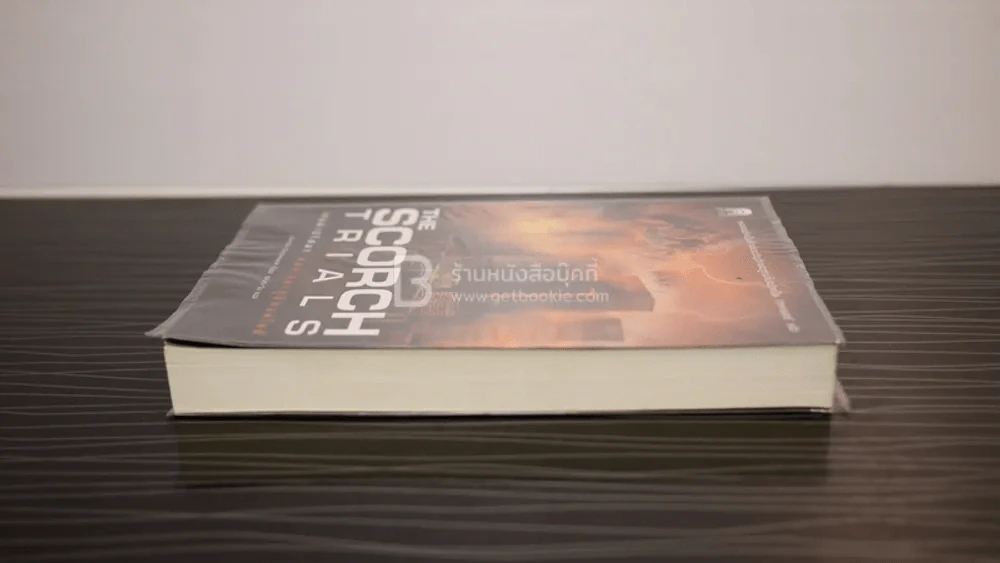 The Scorch Trials เกมล่าปริศนา ตอน สมรภูมิมอดไหม้ รูปที่ 3