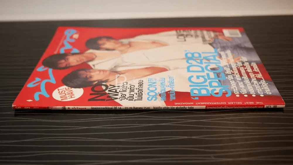 ทีวีพูล ฉบับที่ 691 พ.ศ.2546 D2B บิ๊ก แดน บีม รูปที่ 2