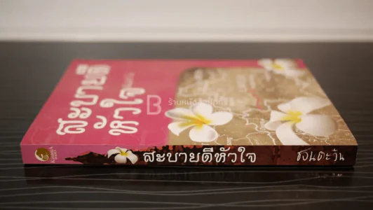 สะบายดีหัวใจ - ชอนตะวัน รูปที่ 2