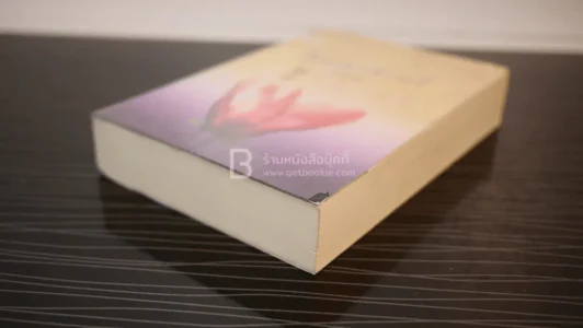สิเน่หาส่าหรี - พงศกร (มีลายเซ็น) รูปที่ 4
