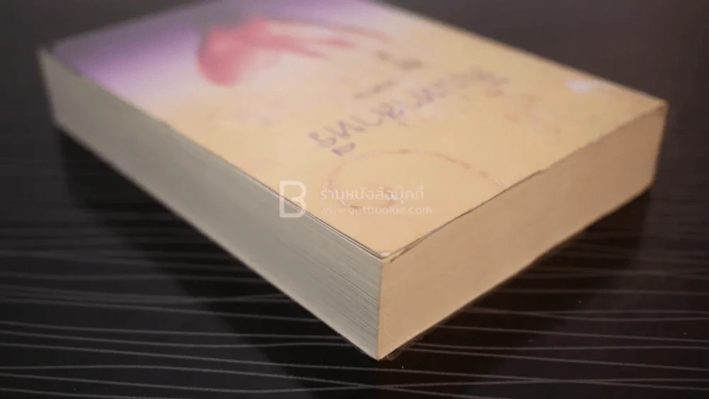 สิเน่หาส่าหรี - พงศกร (มีลายเซ็น) รูปที่ 5