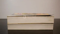 แรงอดีต 2 เล่มจบ - พัดชา รูปที่ 3