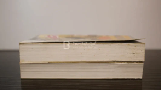แรงอดีต 2 เล่มจบ - พัดชา รูปที่ 3
