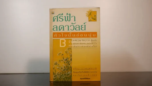 หัวใจนั้นอ่อนนุ่ม - ศรีฟ้า ลดาวัลย์ รูปที่ 1