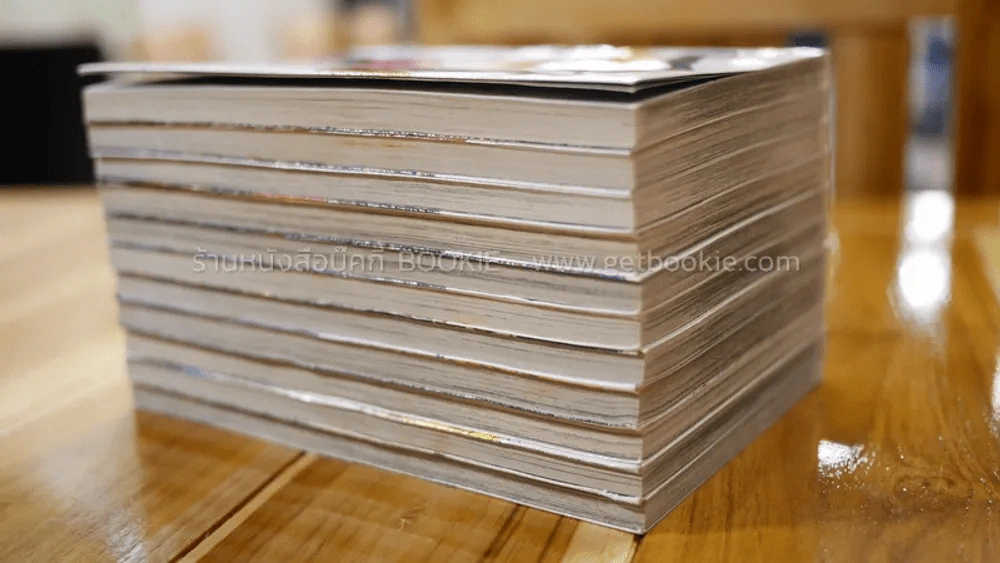 บิ๊กบอสโช 11 เล่มจบ รูปที่ 3