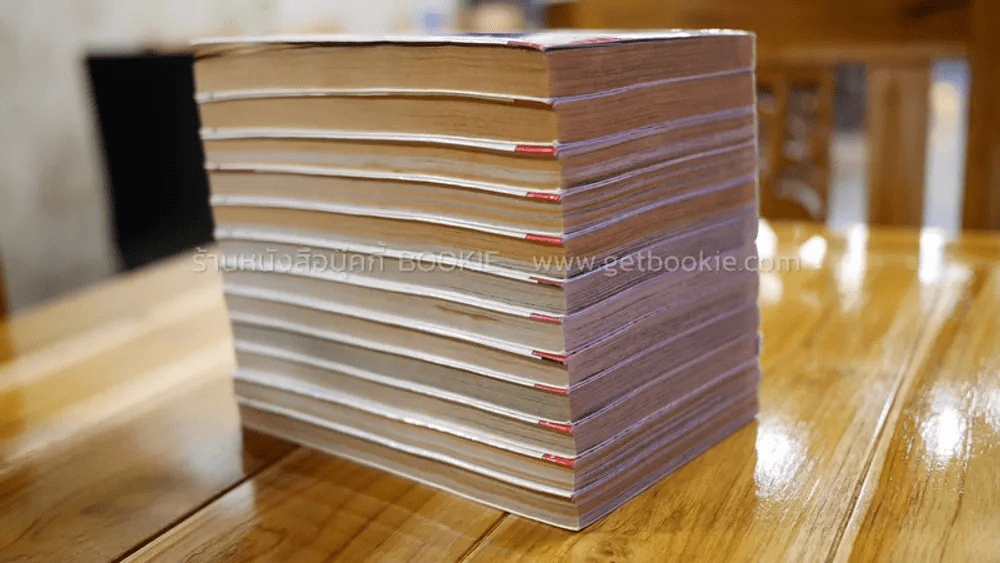 คู่แฝด x 2 แฝดแบบนี้มีอีกไหม 12 เล่มจบ รูปที่ 3