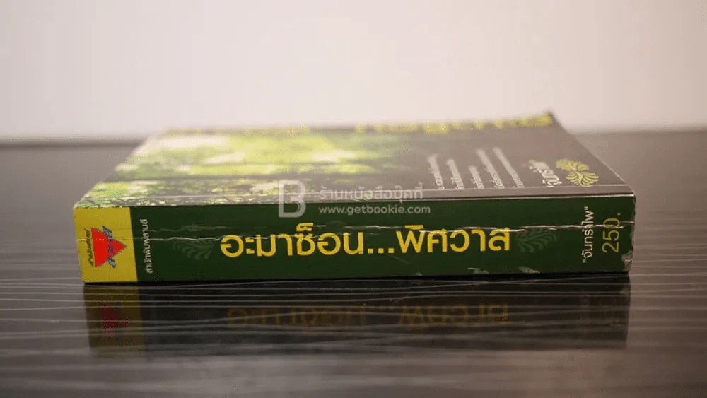 อะมาซ็อน...พิศวาส - จันทรำไพ รูปที่ 2