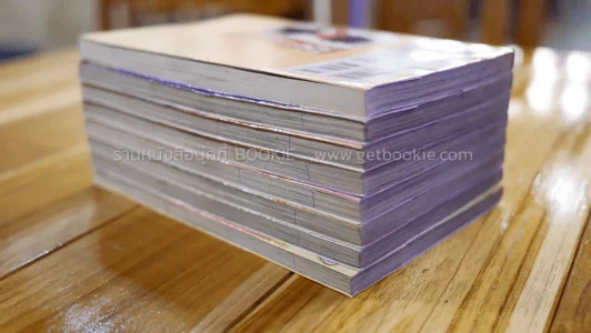 นางฟ้าสีบรอนซ์ 7 เล่มจบ + ภาคพิเศษ เล่มเดียวจบ รูปที่ 3