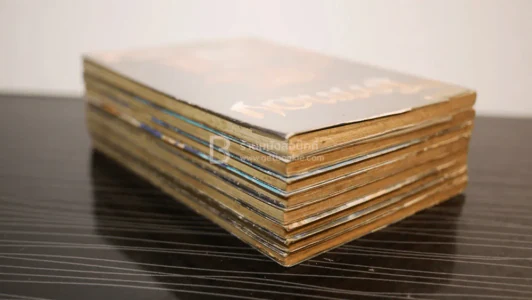 ไกรทอง 8 เล่มจบ ตาโปน รูปที่ 5