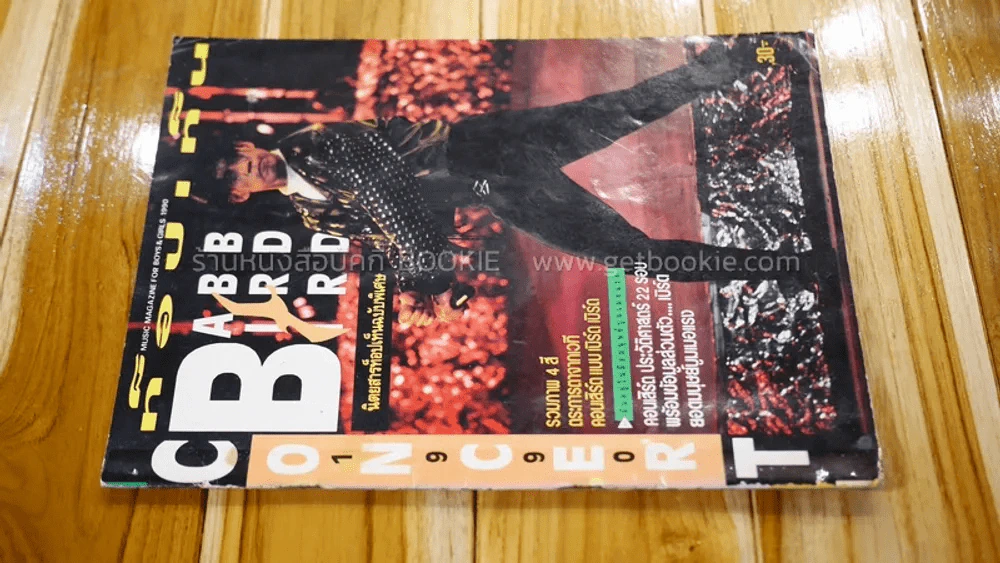 ท็อปเท็น แบบเบิร์ดเบิร์ด คอนเสิร์ต เบิร์ด ธงไชย รูปที่ 2
