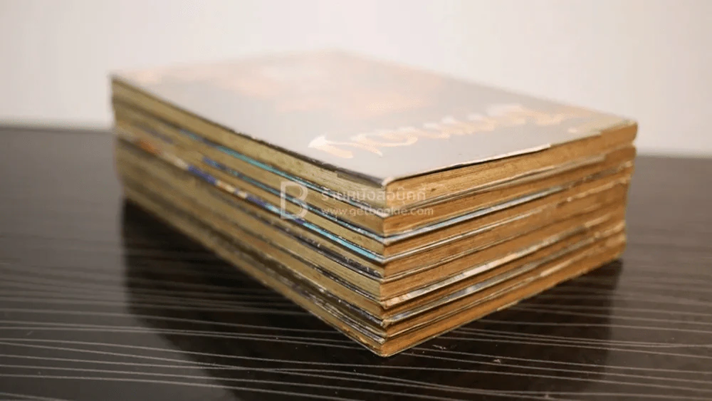 ไกรทอง 8 เล่มจบ ตาโปน รูปที่ 5