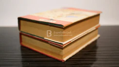 นรี 2 เล่มจบ (ปกแข็ง) - ช่อลัดา รูปที่ 4