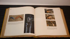 Weisz the Science of Biology รูปที่ 4