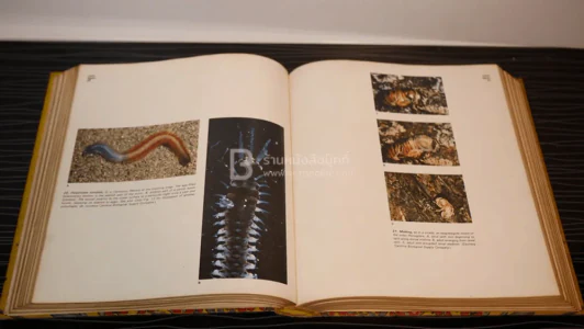 Weisz the Science of Biology รูปที่ 4
