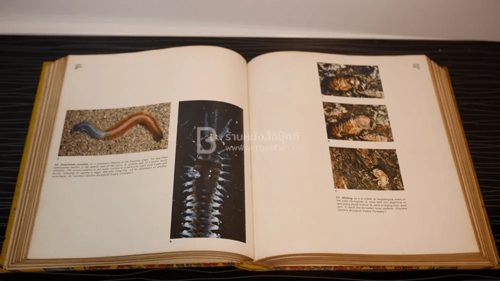 Weisz the Science of Biology รูปที่ 4