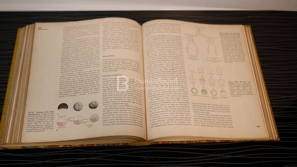 Weisz the Science of Biology รูปที่ 6