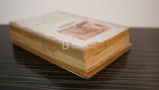 อัตชีวประวัติของท่านพุทธทาส เล่าไว้เมื่อวัยสนธยา เล่ม 1-3 - พระประชา ปสนฺนธมฺโม รูปที่ 5