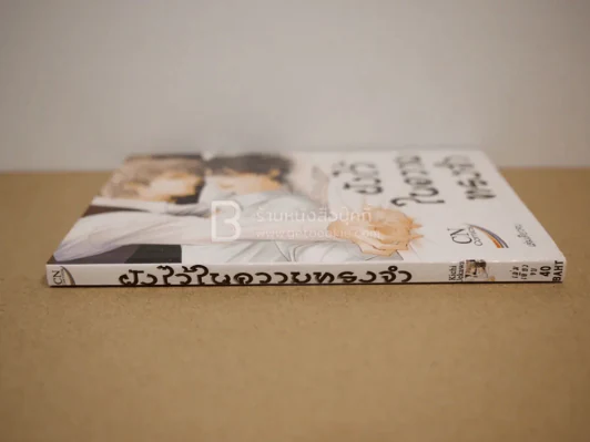 ฝังไว้ในความทรงจำ รูปที่ 2