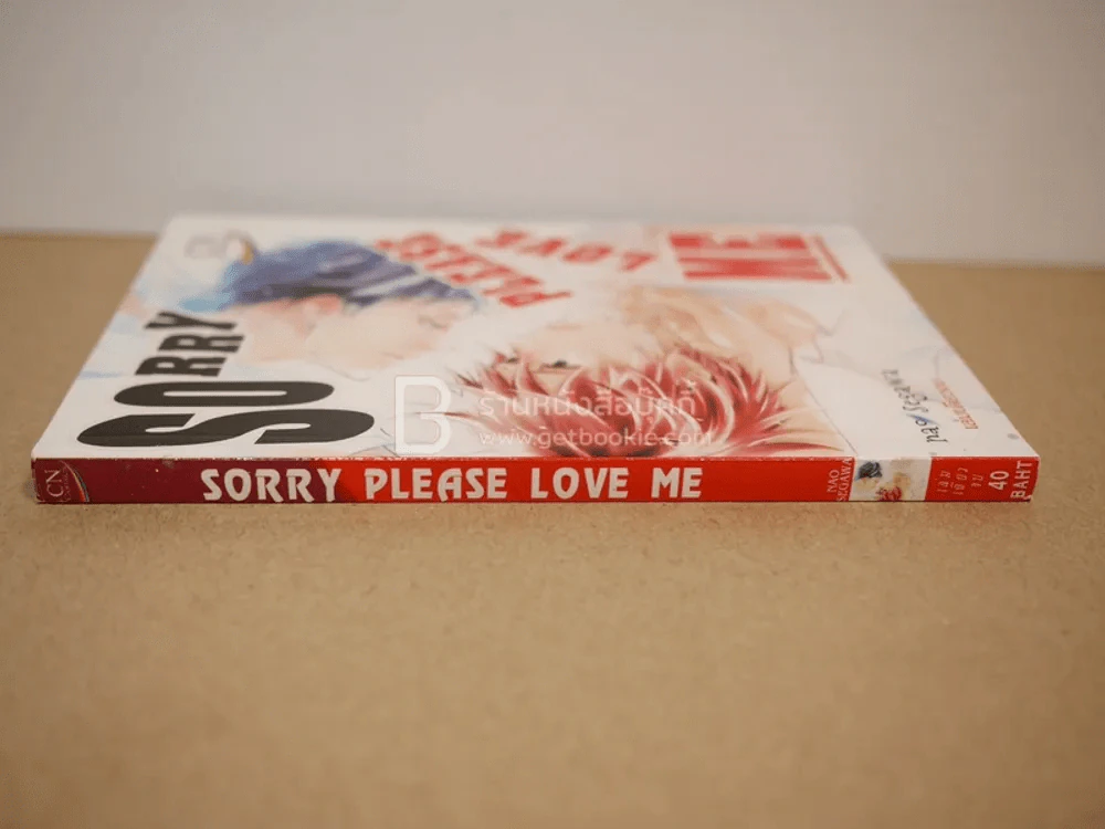 Sorry Please Love Me รูปที่ 2