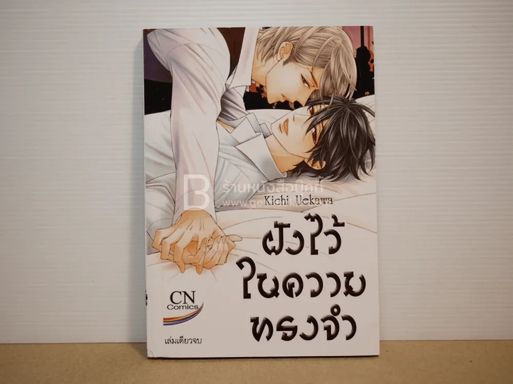 ฝังไว้ในความทรงจำ รูปที่ 1