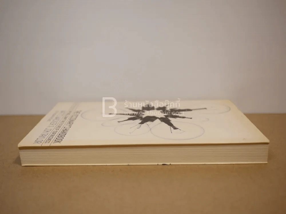 The Visionary's Handbook รูปที่ 3