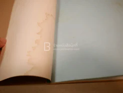 บริษัทจำกัด (สภาพบวมน้ำ) รูปที่ 4