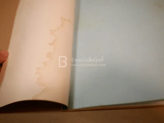 บริษัทจำกัด (สภาพบวมน้ำ) รูปที่ 4