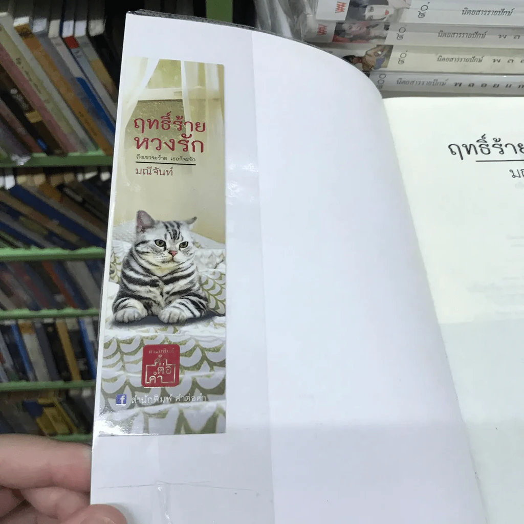 ฤทธิ์ร้าย หวงรัก - มณีจันทร์ รูปที่ 10