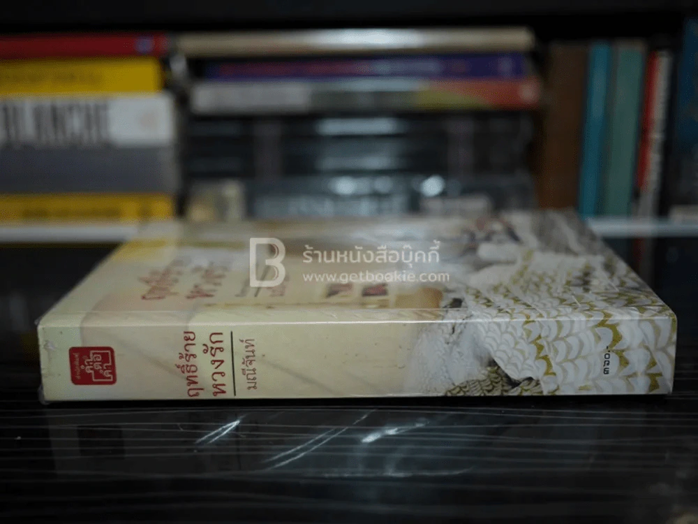 ฤทธิ์ร้าย หวงรัก - มณีจันทร์ รูปที่ 2