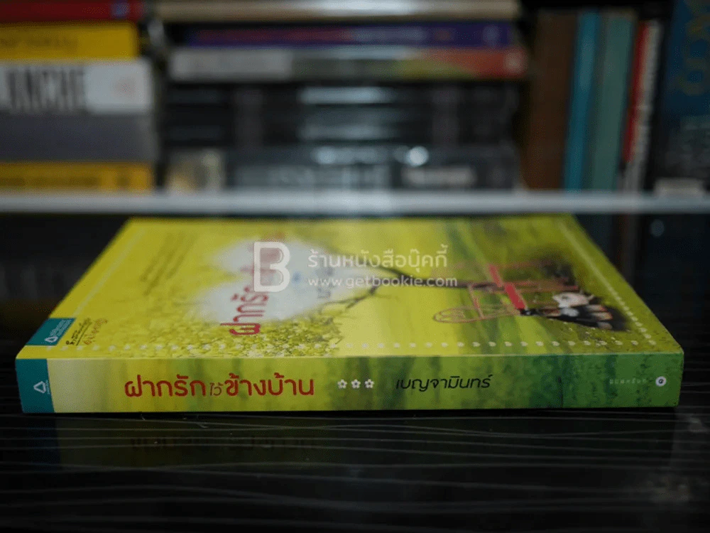 ฝากรักไว้ข้างบ้าน - เบญจามินทร์ รูปที่ 2