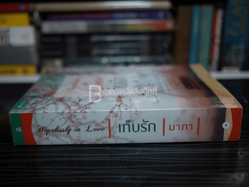 Hopelessly in love เก็บรัก - มาภา รูปที่ 2
