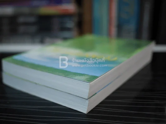 วิมานดวงดาว 2 เล่มจบ - โสภี พรรณราย รูปที่ 4