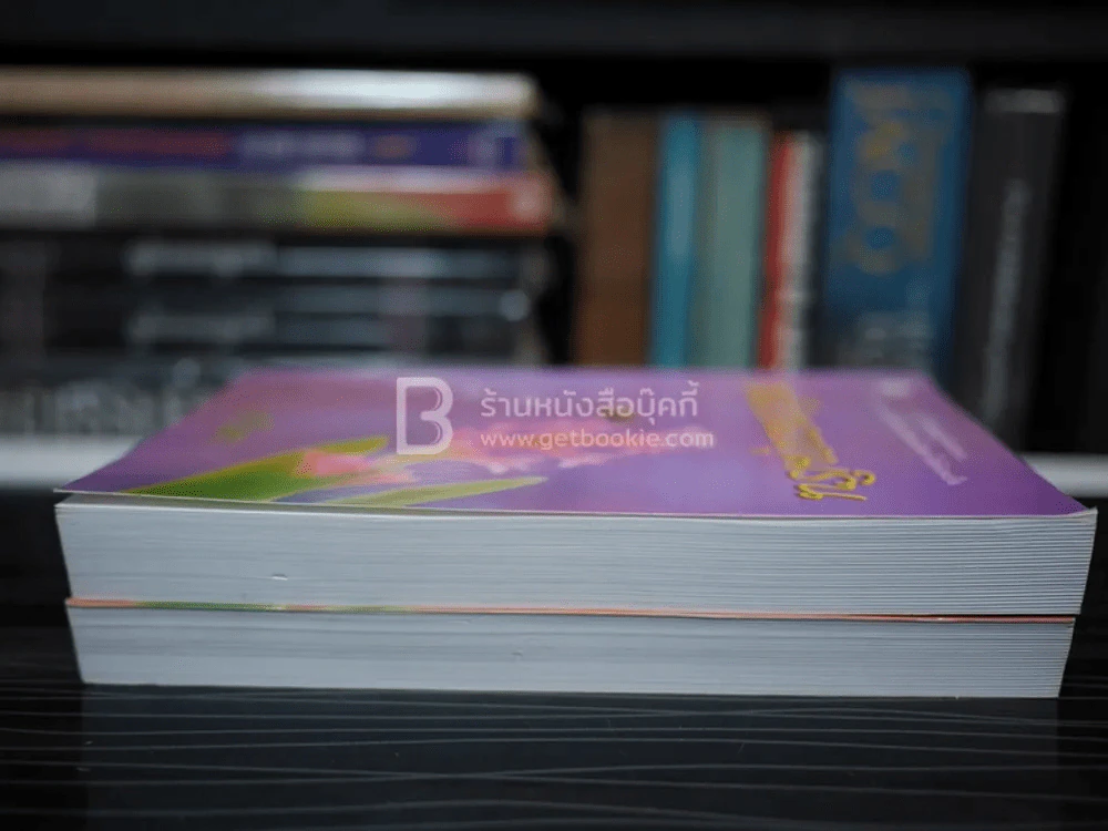 พลับพลาภุมริน 2 เล่มจบ - อาริตา รูปที่ 3