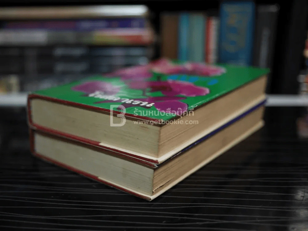 เงา 2 เล่มจบ - โรสลาเรน (ปกแข็ง) รูปที่ 4
