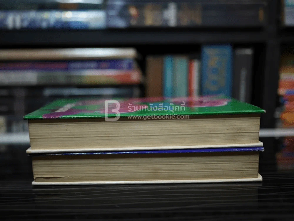 เงา 2 เล่มจบ - โรสลาเรน (ปกแข็ง) รูปที่ 3