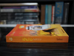 เจ้าบ่าวทะเลทราย - ไอริณ รูปที่ 2