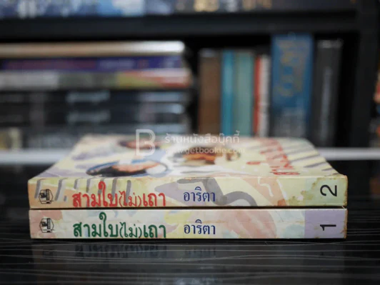 สามใบ(ไม่)เถา 2 เล่มจบ - อาริตา รูปที่ 2