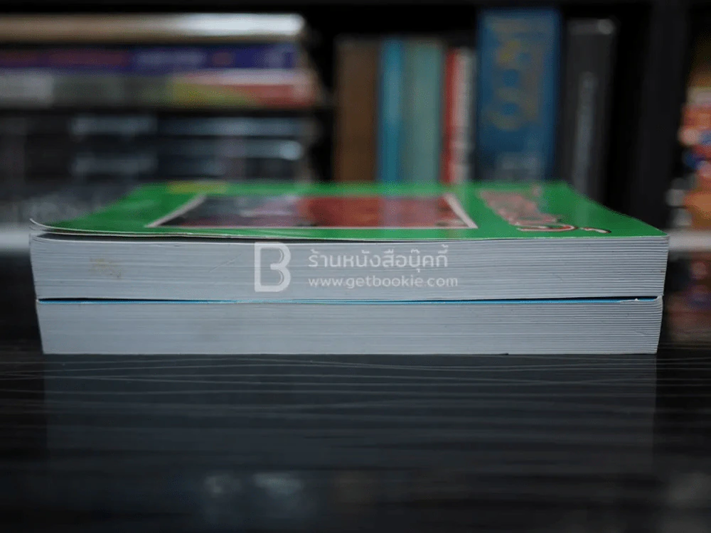 ไฟอนงค์ 2 เล่มจบ - มณีบุษย์ รูปที่ 3