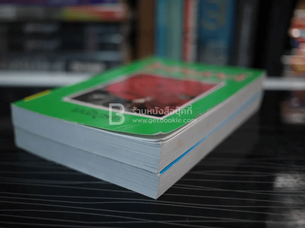 ไฟอนงค์ 2 เล่มจบ - มณีบุษย์ รูปที่ 4