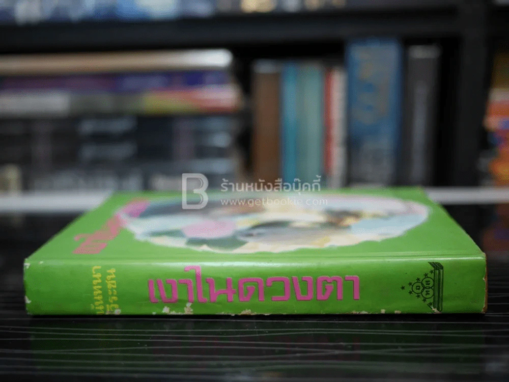 เงาในดวงตา - นันทนา วีระชน รูปที่ 2