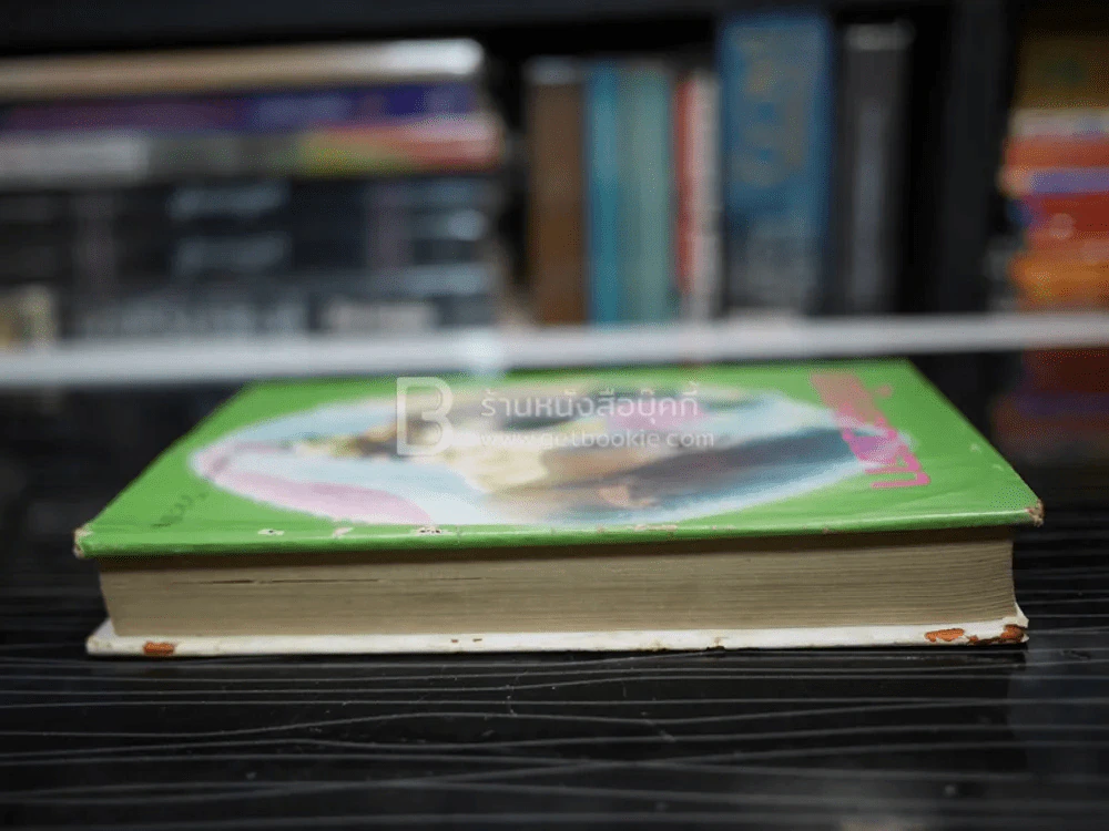 เงาในดวงตา - นันทนา วีระชน รูปที่ 3