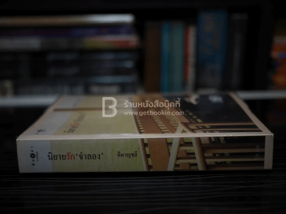 นิยายรัก จำลอง - คีตาญชลี รูปที่ 2