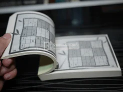 Sudoku Zen ปริศนาหรือเกมกล จะหลุดพ้นด้วยปัญญา รูปที่ 3
