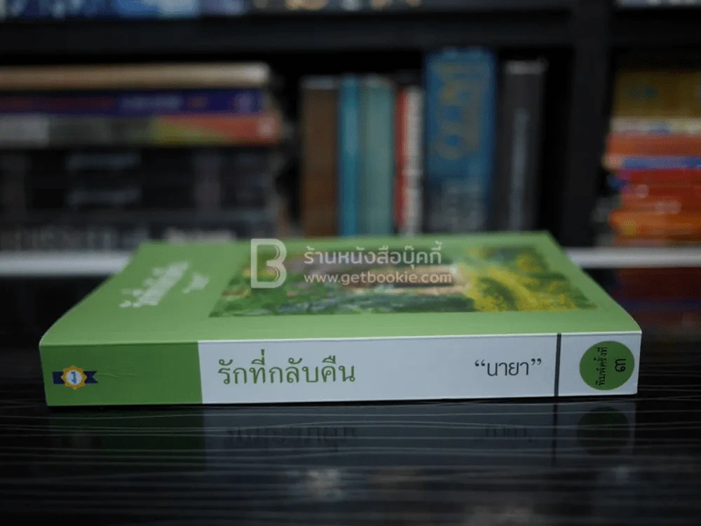 รักที่กลับคืน - นายา รูปที่ 2