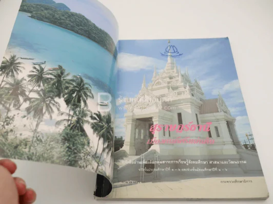 สุราษฏร์ธานี เมืองคนดีศรีแผ่นดิน รูปที่ 4