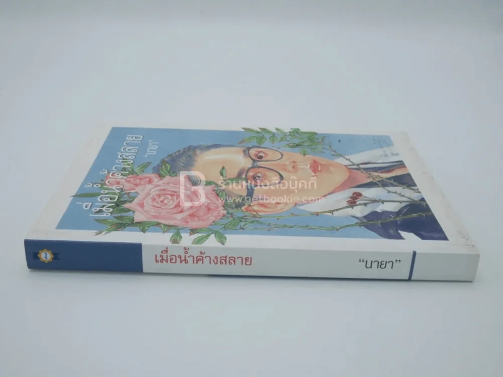 เมื่อน้ำค้างสลาย - นายา รูปที่ 2