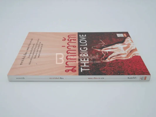 มากกว่ารัก The Big love - พลอย จริยะเวช แปล (พิมพ์ครั้งแรก) รูปที่ 2