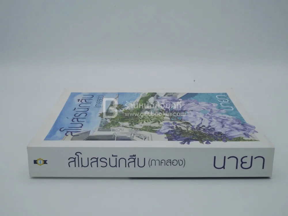 สโมสรนักสืบ (ภาคสอง) - นายา รูปที่ 2